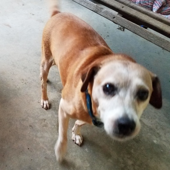 Meet your Posher, Nikki - Picture 4 of 6